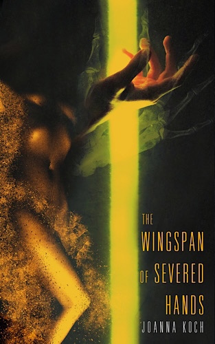Review: Joe Koch | The Wingspan of Severed Hands